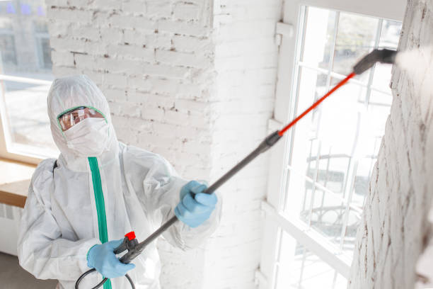Best Mold Odor Removal Services  in Litchfield, MN