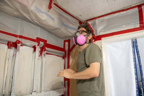Best Mold Remediation for Healthcare Facilities  in Litchfield, MN